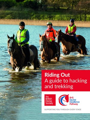 cover image of BHS Riding Out